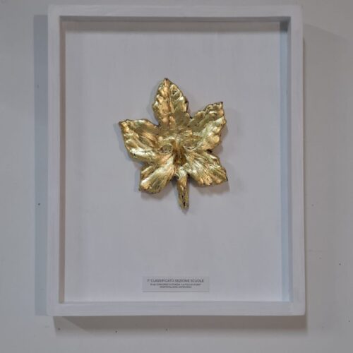 1° Premio 2024